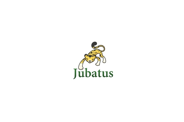 NTTとPFI社、ビッグデータのリアルタイム処理を可能にする新技術「Jubatus」を開発 画像