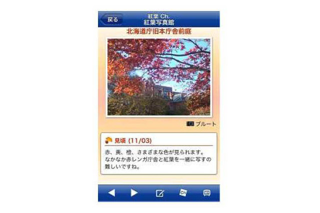 ウェザーニューズ、「紅葉ch.」をスタート！ 画像