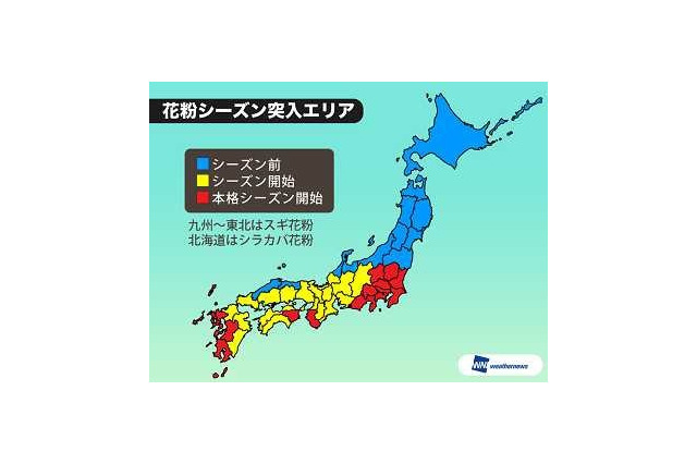 東京都、今日から本格的に花粉シーズン突入 画像