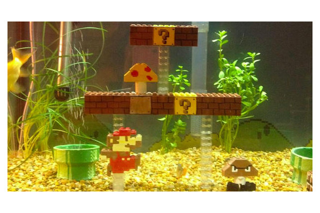 『スーパーマリオ』1-1を水槽の中で再現 画像