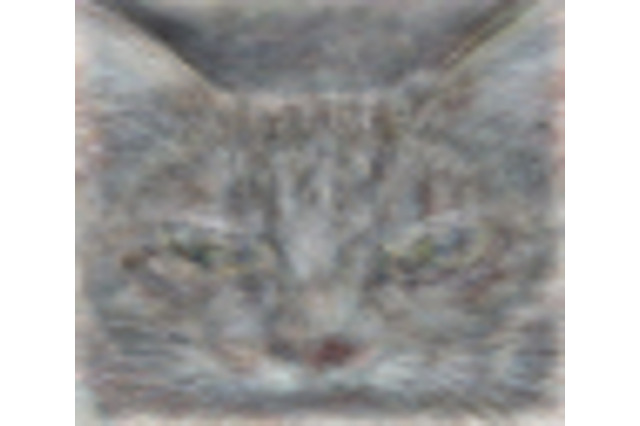 Google、脳のシミュレーションで成果……猫を認識 画像