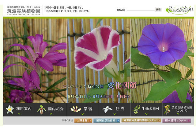 植物と昆虫の不思議な関係を学ぶ　9月15-23日 画像