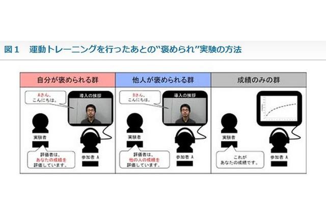 「褒めて伸ばす」を科学的に証明…生理学研究所、米国科学誌に掲載 画像