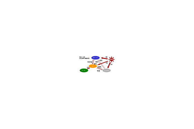 MNPを利用して乗り換えた理由とは? 画像