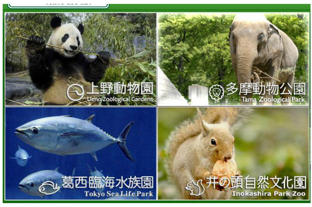 都立動物園・水族園「Visit ほっと Zoo 2013」…プレイベントも開催 画像