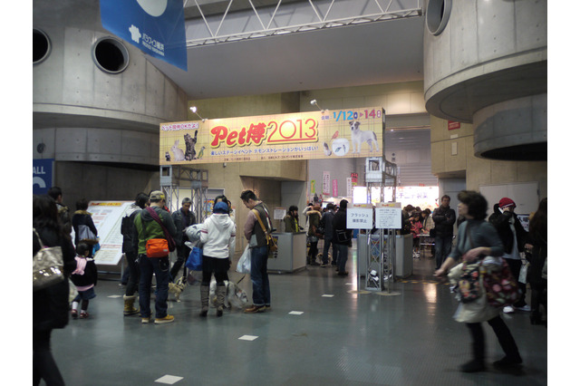 ペットグッズの販売ブースは人だかり!「Pet博 2013」開催 画像