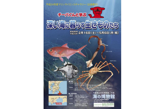 深い海に暮らす生きものたち 2月16日より 画像