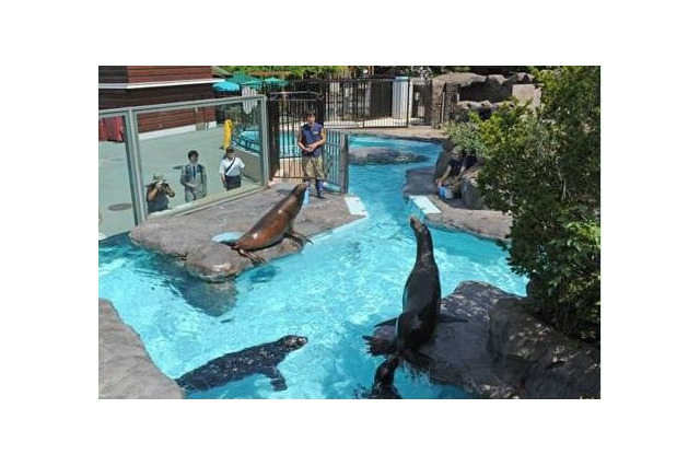 【春休み】動物園・水族園でイベント満載 画像