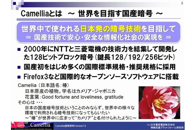 NTTと三菱電機の暗号アルゴリズム「Camellia」、“電子政府推奨暗号”に採択 画像