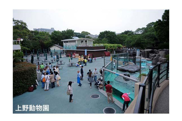 上野動物園など4園、障害をもつ子どもとその家族を閉園後に招待　6月8日 画像