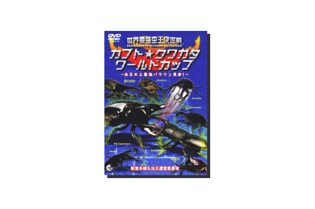 昆虫たちが戦う「世界最強虫王決定戦」シリーズ一挙公開! 画像
