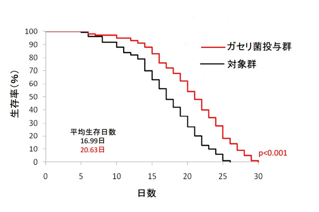 人間だったら107歳!? “線虫”の寿命を延ばした意外な食物 画像