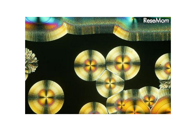 【夏休み】親子対象の写真教室を開催、「科学現象の撮影」 画像