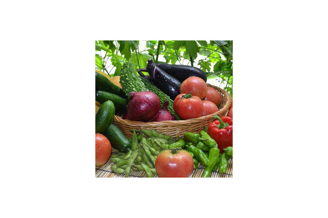 野菜ジュースを飲めば野菜を食べたことになるのか? 画像