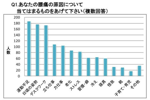 腰痛の原因、第1位は「運動不足」 画像