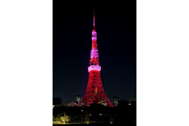 エスティローダー「ピンクリボンキャンペーン」 画像