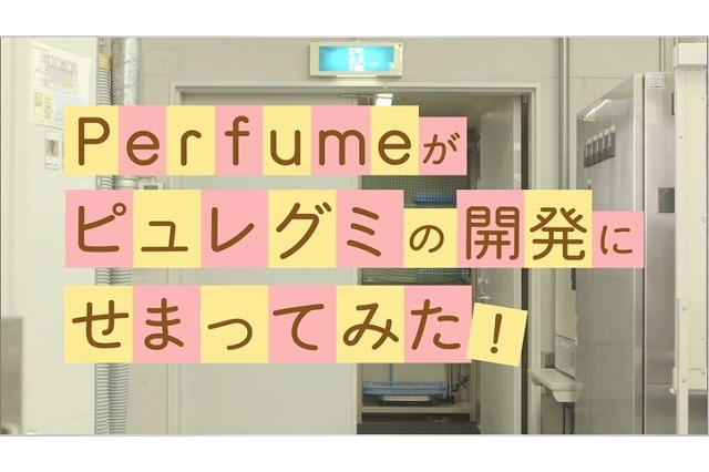 Perfumeが潜入！ 限定ピュレグミ「フルーツティー味」開発現場をレポ 画像