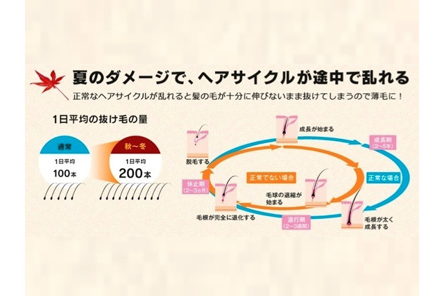 秋は抜け毛の季節!…体に良いことは髪にも良い 画像