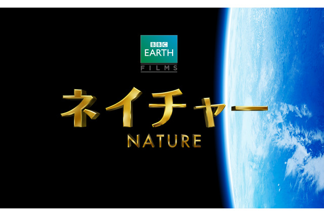 BBC EARTH、4KHD3Dカメラで撮影した迫力ネイチャードキュメンタリー　GW公開 画像