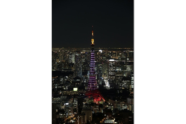 東京タワーと京都タワーが合格祈願のライトアップ 大学キャラも応援 画像