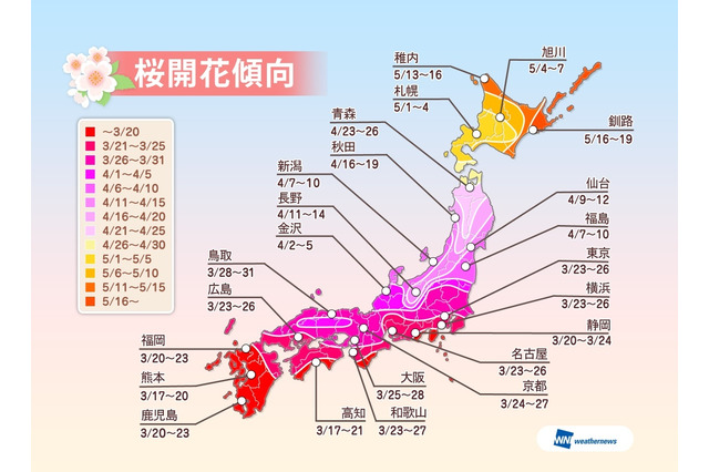 2014年の桜の開花予想、北日本はやや早め……ウェザーニューズが発表 画像