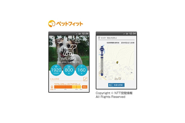 ドコモ、愛犬向けサービス「ペットフィット」3月13日より提供開始 画像