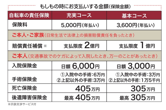 家族全員、2億円までしっかり補償する“自転車保険”とは？ 画像