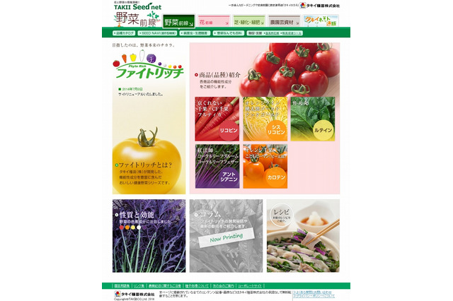 機能性野菜『ファイトリッチ』の成分・効能・レシピが分かる専用サイト 画像