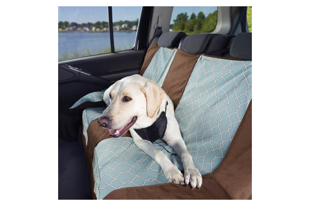 【Interpets 2014 Vol.4】北米のペット専用ブランド商品、日本市場へ 画像