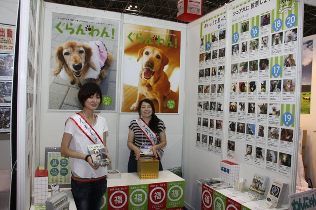 【Interpets 2014 Vol.16】シニア犬写真コンテストに投票して福袋をゲット 画像