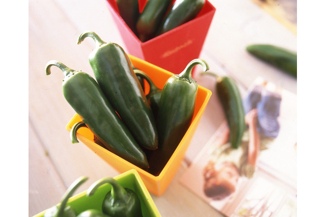 通常の野菜より栄養価の高い「機能性野菜」……高齢者が注目 画像