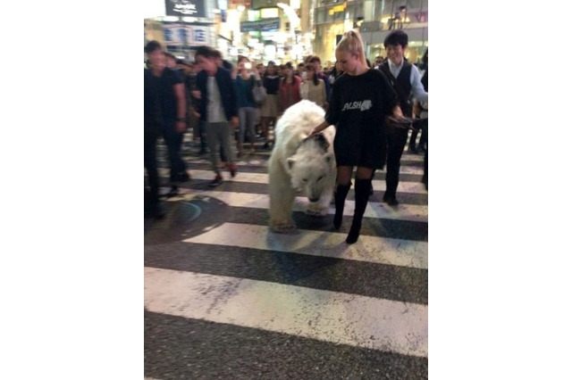 渋谷・新宿に出没したシロクマ、中に“あの有名人”が！ 画像