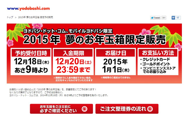 ヨドバシカメラ恒例の福袋、iPad入りで3万円……18日予約開始 画像