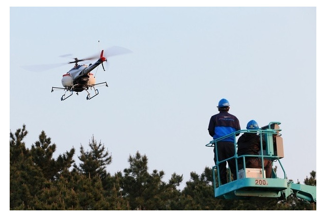 松くい虫防除で効果……空中散布 画像