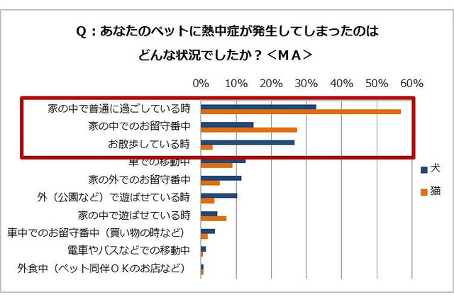 ペットの熱中症、「家の中ならたぶん大丈夫」がキケン！ 画像