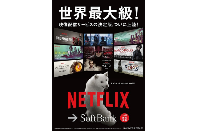 白戸家パパ、Netflixに大興奮「テンション上がってキタ――!!!」 画像