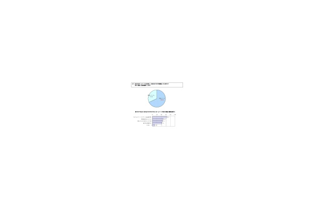 ホームページ所有者の7割がブログも併用、アフィリエイトや動画共有が人気〜ソースネクスト調べ 画像