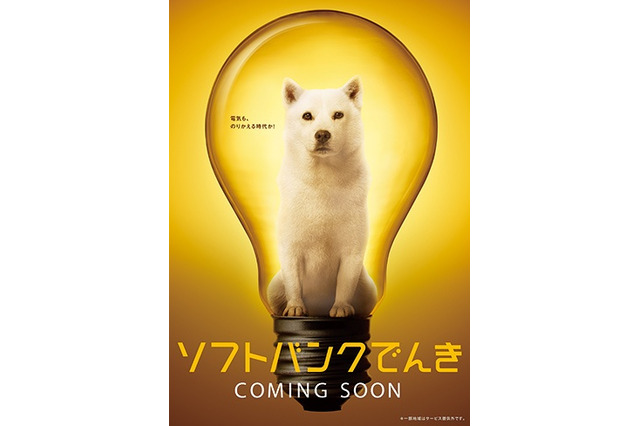ソフトバンクの電気事業、「ソフトバンクでんき」ブランドで展開 画像