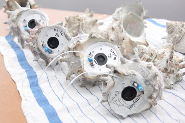 サザエからラジオが聞こえる!? bayFMから「SAZAE RADIO」が発売 画像