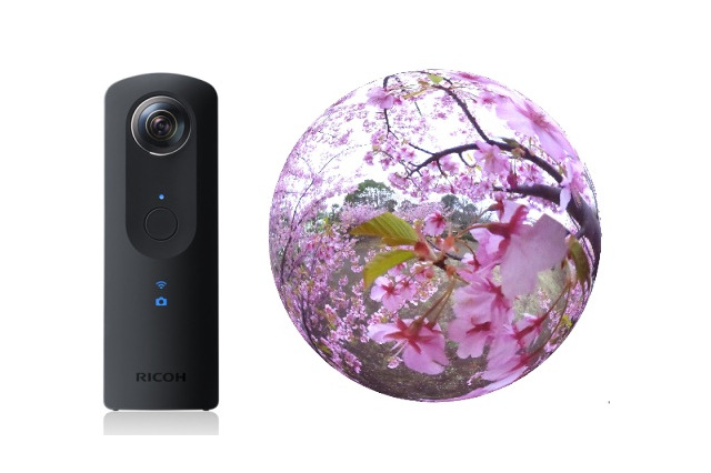 花見ピーク目前!360度「桜のライブ動画」でバーチャルお花見 画像