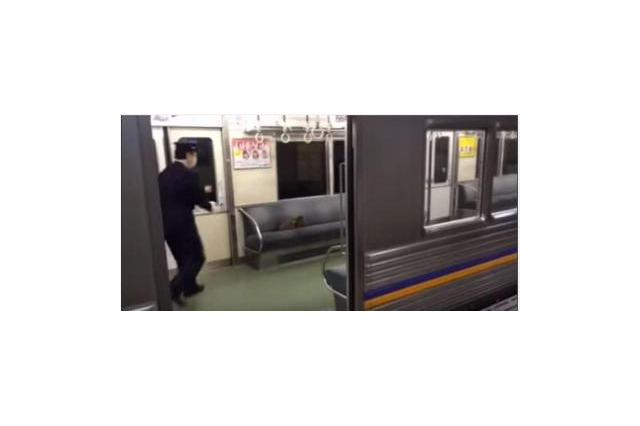 【動画】電車のなかに猫が！猫 vs 車掌さん 画像