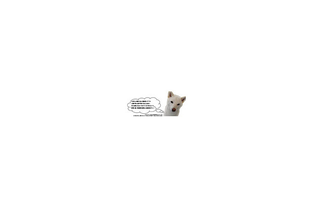 究極のマナー着信音？　ドワンゴから「犬にしか聴こえない着信音」が登場 画像
