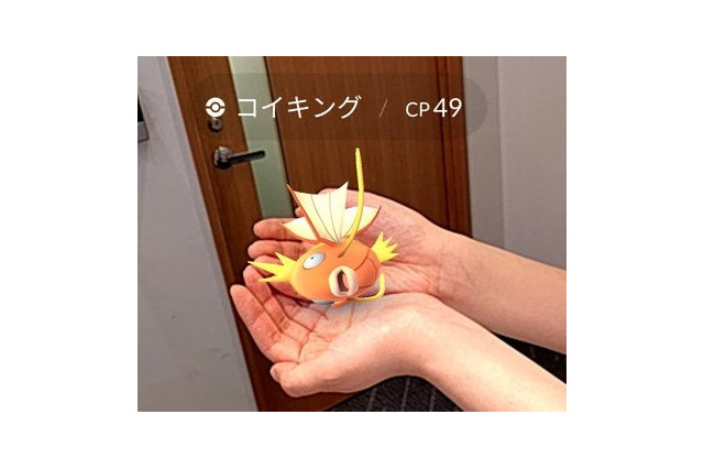 何故かシャープのスマホが『ポケモンGO』非対応…現在は一部を除き対応 画像