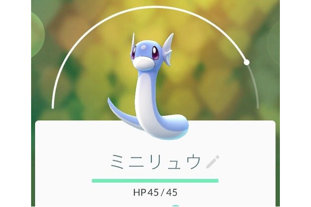 東京・世田谷公園、「ポケモンGO」によるトラブル多発 画像