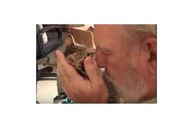 【動画】飼い主さんのキスにキレた子猫 画像