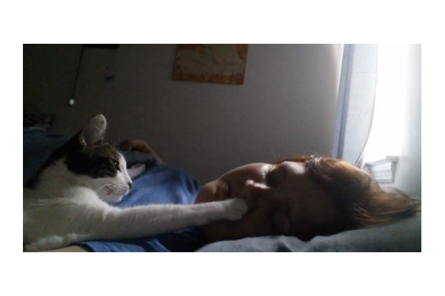 【動画】「お腹すいた」ご主人にアピールする猫 画像