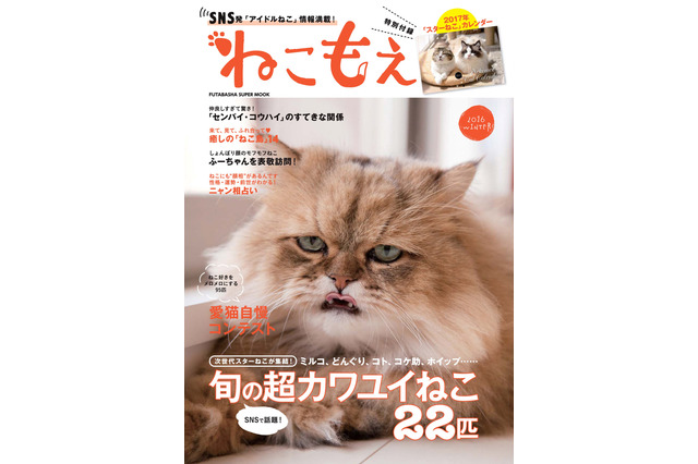 SNSで人気のねこ達がムックに!『ねこもえ』発売 画像