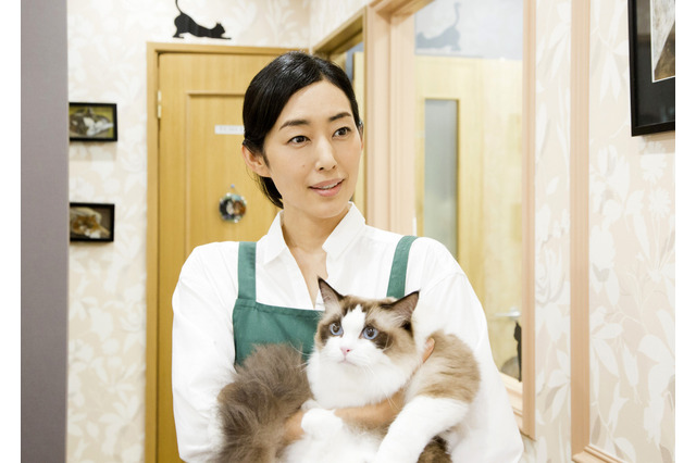 もふもふ、胸キュン！伊藤淳史主演『ねこあつめの家』特報公開 画像