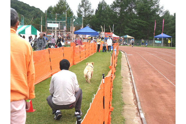【八ヶ岳ドッグフェスタ Vol.2】来場者が増加中!愛犬と楽しみ、犬について学んだ2日間 画像