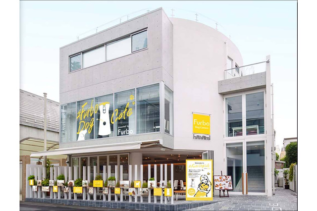 ドッグカメラの体験や愛犬との同伴来店も！ワンスタグラマー監修のカフェが表参道にオープン 画像